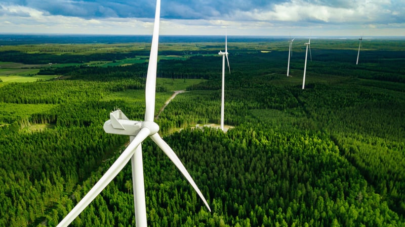 Wind turbines in forest