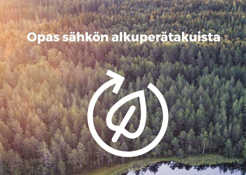 Opas sähkön alkuperätakuista